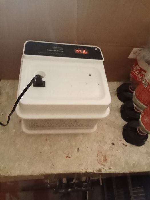 Инкубатор для яйц