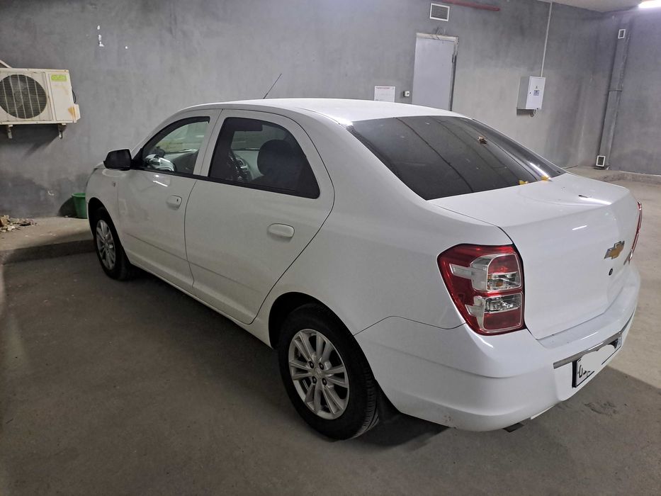 Cobalt-Style AT Plus, 2024