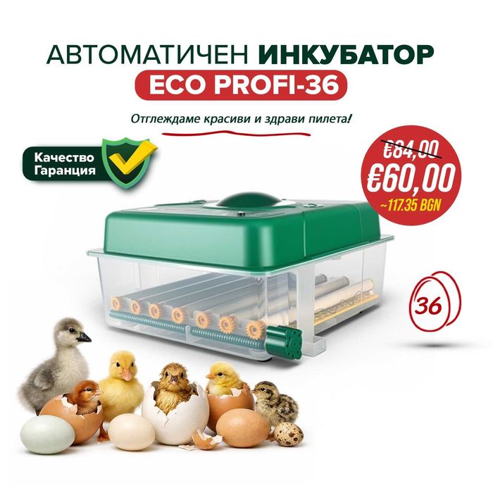Автоматичен инкубатор ECO PROFI-36 яйца  220 V/12 V #53102