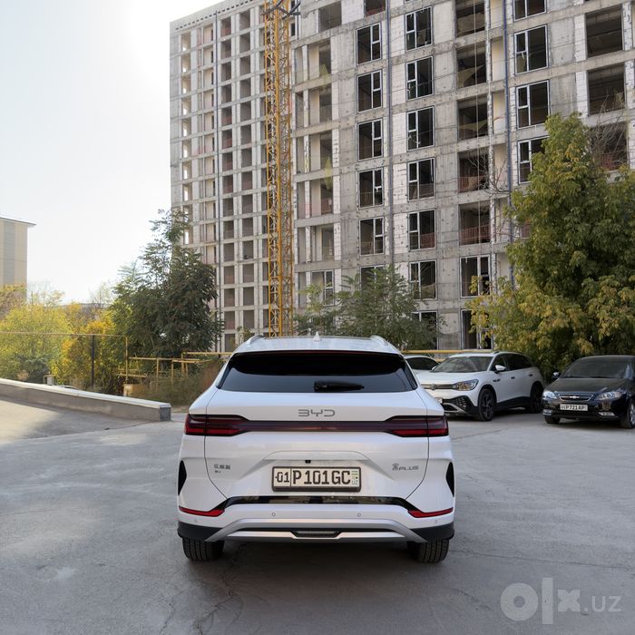Byd champion restyling