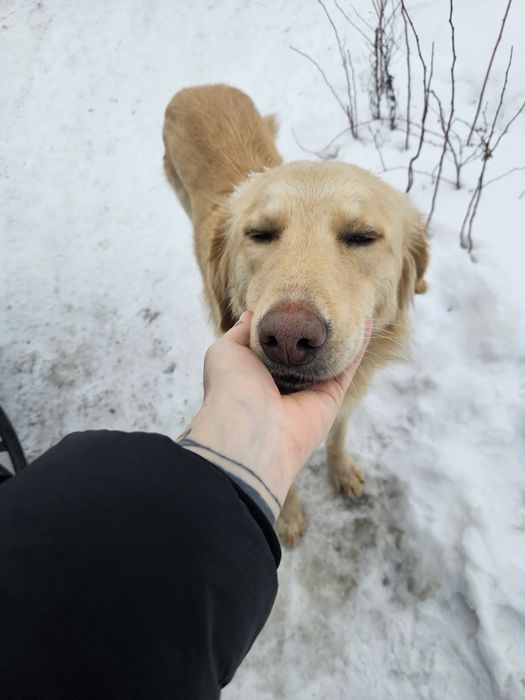 В хорошие руки кабель