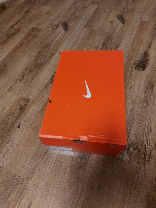 Adidasi Nike Pegadus 39