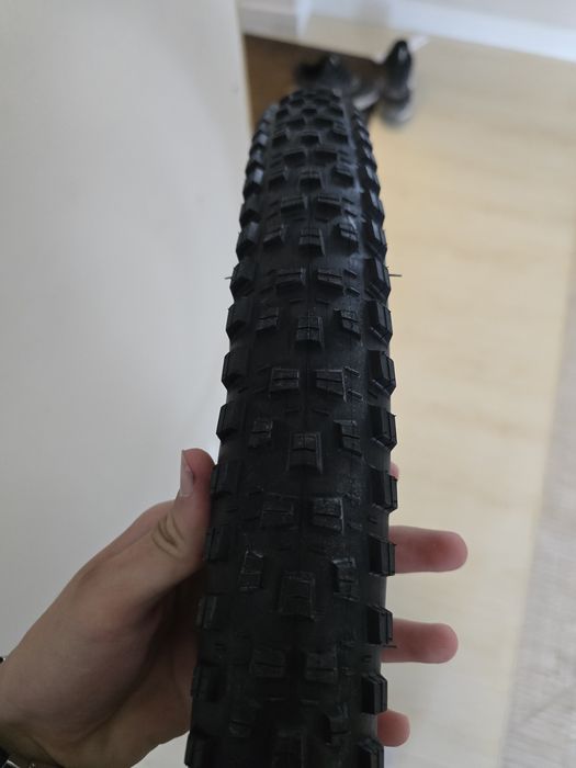 Maxxis forecaster