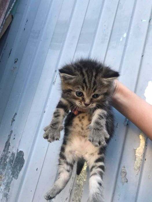 Жанка Уральск 86