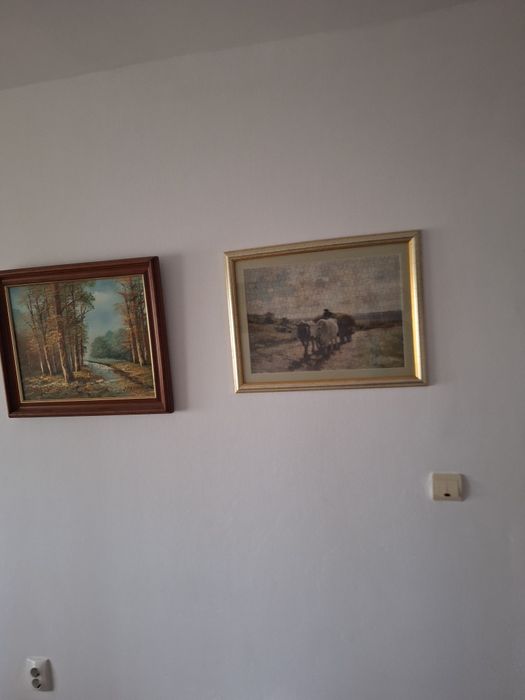 Tablouri de vânzare
