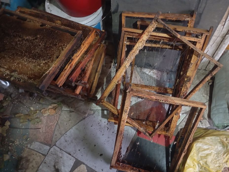 Рамки для улей пустые и с сотами