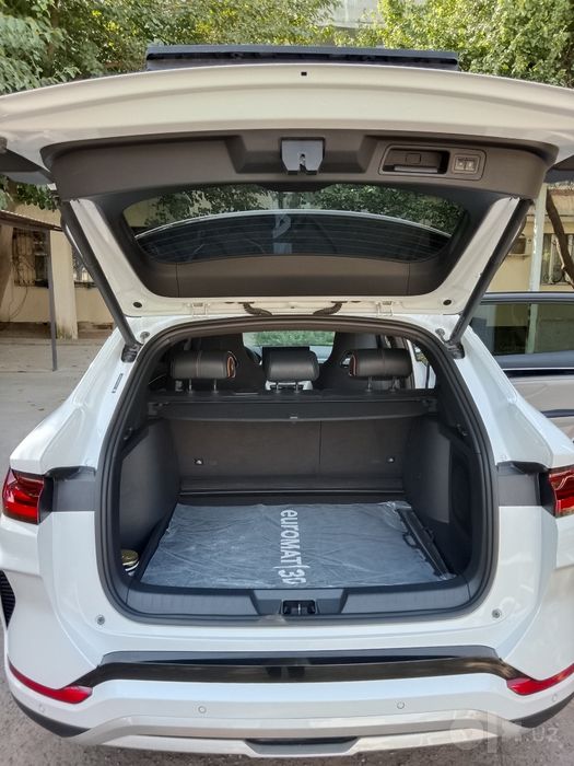 BYD Chempion 605