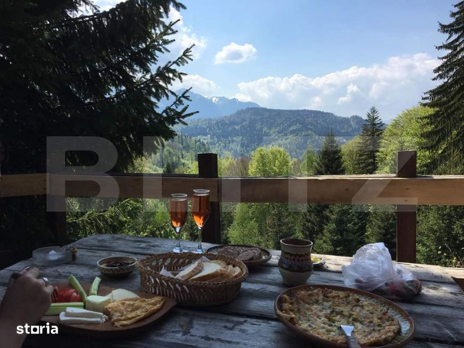 Complex turistic eco-integrat – Predeal (Trei Brazi)