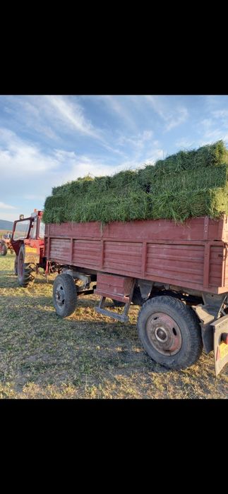 Vand baloti lucerna si fan!