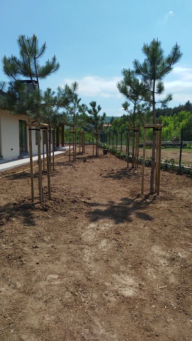 Градинарски услуги,почистване на 
дворове, озеленяване