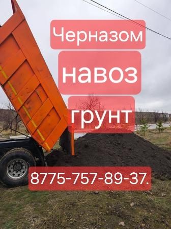 Черназом навоз грунт