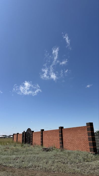 Обмен жылқы, сиыр, туйе