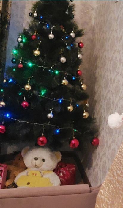 Шырша сатылады. Продам ёлку.