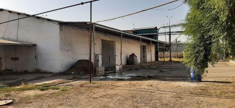 Маслоэкстрактный завод с общей площадью 1.5 гектара.