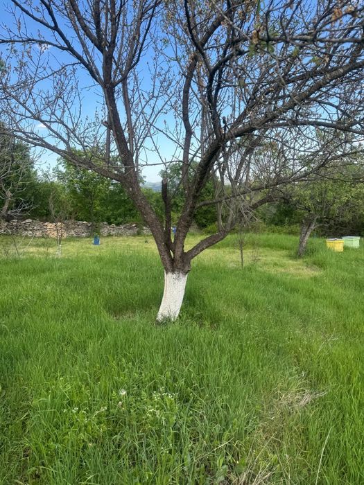 Продава се Къща в Кърджали, Възрожденци - 50 кв.м за 1700 €/кв.м - Снимка #6