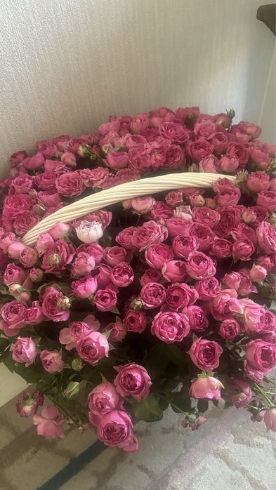 51ветка кустовые роза