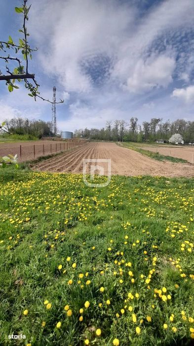 Casă 5 camere, 2.800 mp teren, Dărmănești – 13 km Suceava