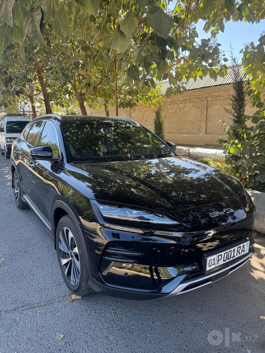 BYD chempion EV 605 honor