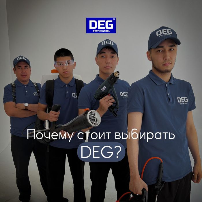 Дезинфекция Клопы Тараканы Потравить