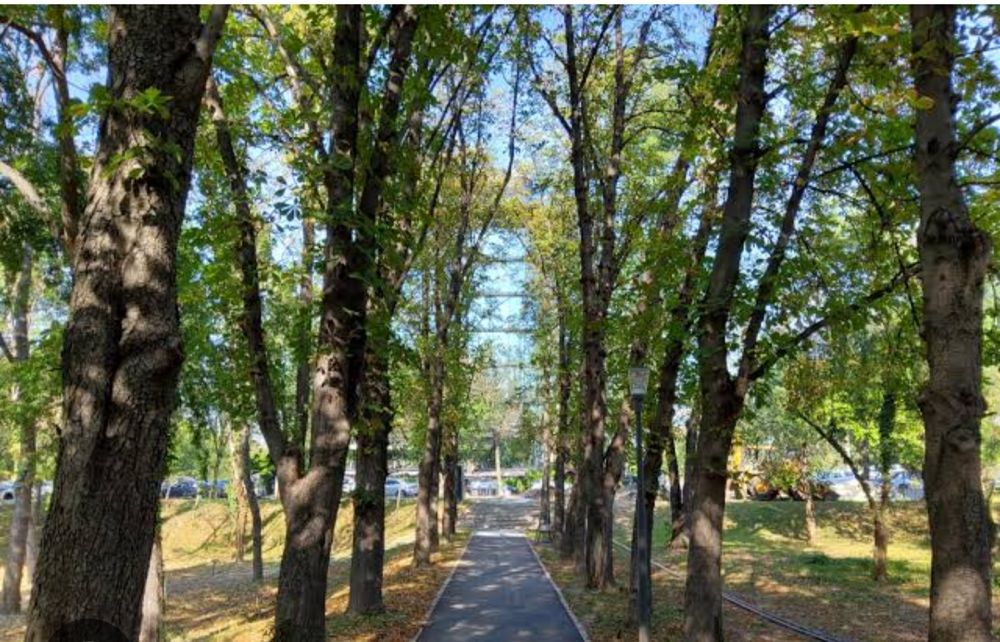 Floreasca Parc Verdi