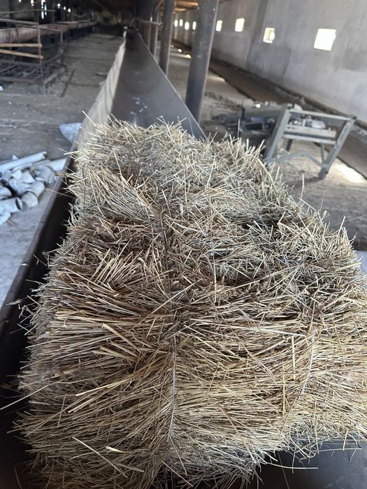 Шөп  жоңышқа арласқан прес