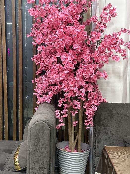 для кафе торг есть! срочна сатамыыыяяязз