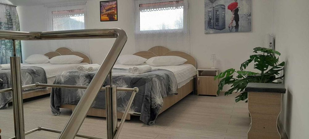 Casa la munte aproape de Paltinul