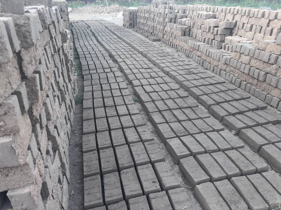 650 som gishtlar