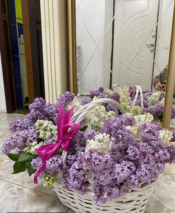 Сирень . Предзаказ напишите на ватсап