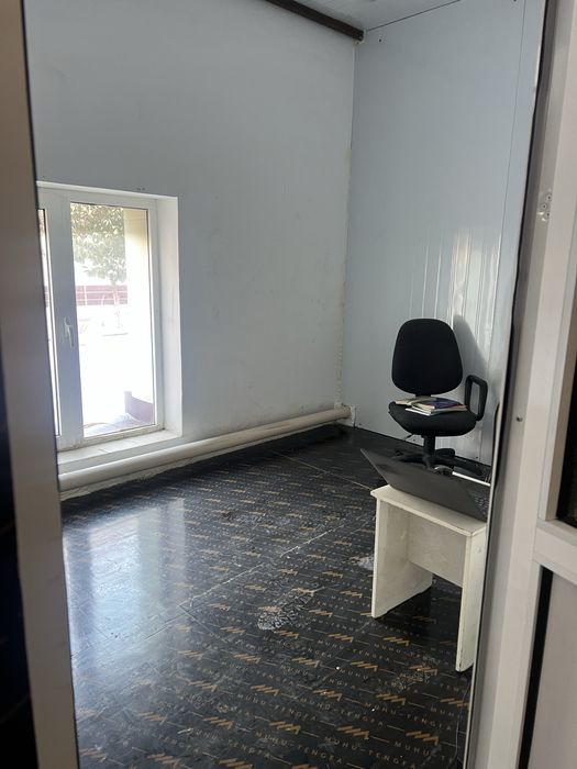 Finskiy fanera. Kesilgan va butunlari.