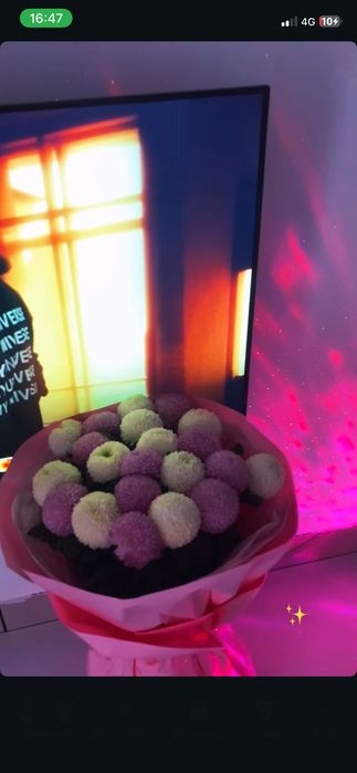 Продам цветы Цена договорная