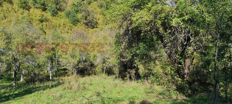 Продават се 3 земеделски имота (поземлени)