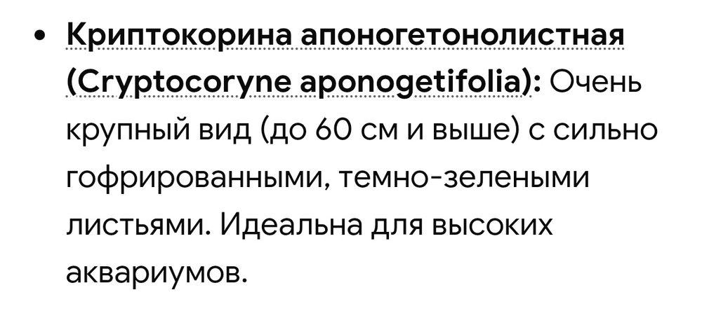 Аквариум Криптокорина