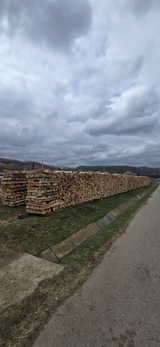 Lemn de foc esenta tare ,fag taiat crapat paletizat, uscat !