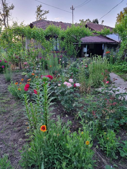 Casa cu teren, Boldesti-Gradistea, Sat Boldesti, jud. Prahova