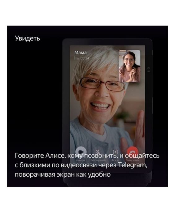 Алиса станция дуо макс