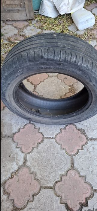 Автомобильные шины