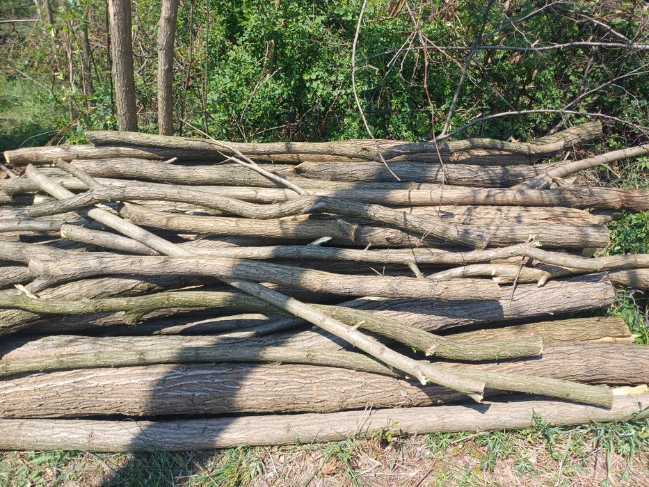 Vand Stâlpi salcâm.