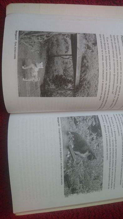 Учебник Цифрова фотографии