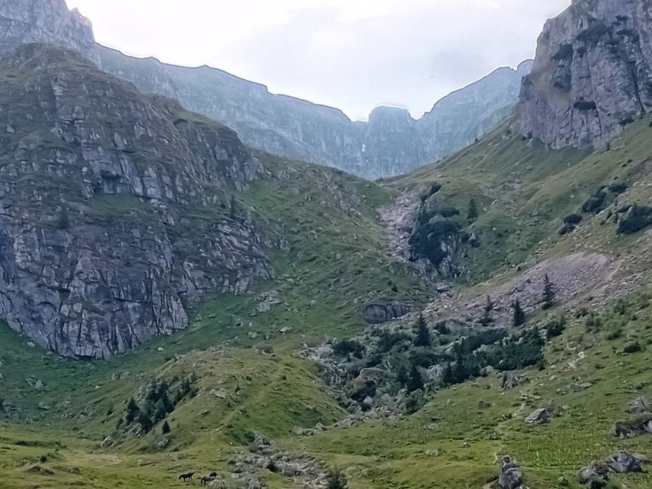 Căsuță regim hotelier