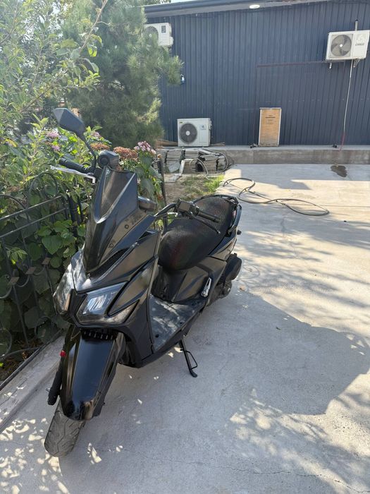 Skuter drongo samuray