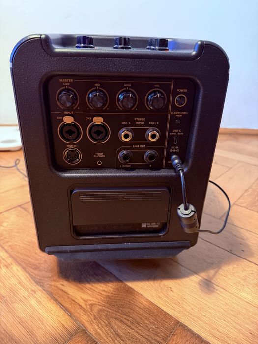 Positive Grid Spark Edge 65W busking amp