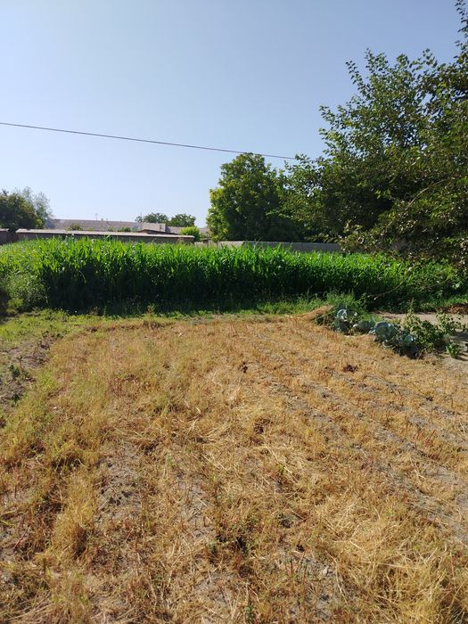 Dakumentdan muammo yuq