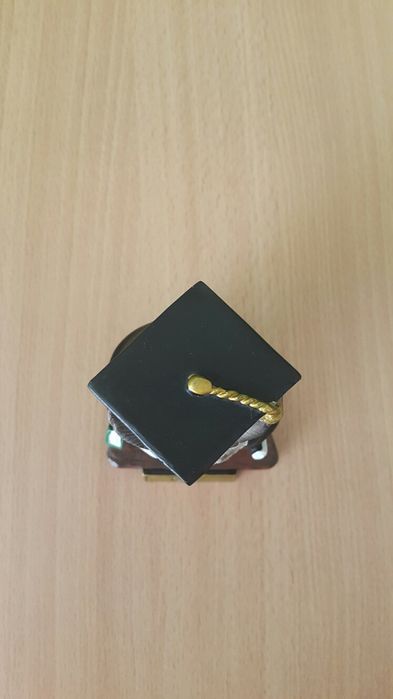 Статуэтка "Сова выпускник - Доктор наук"