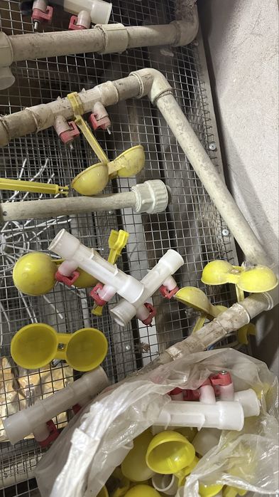 Клетка для перепел