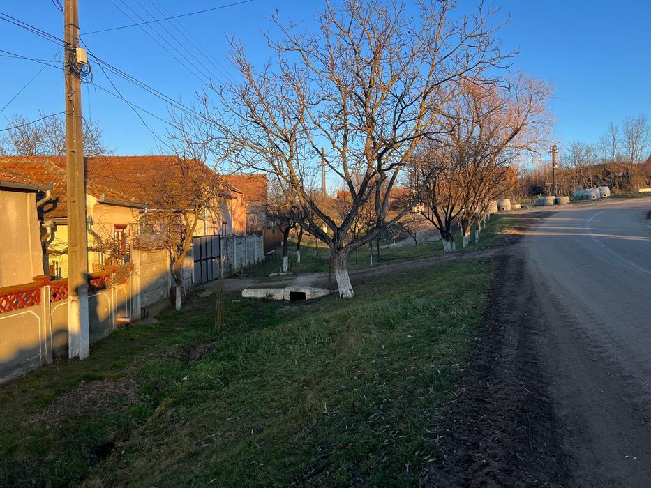 Vând casă cu grădină în Ohaba.