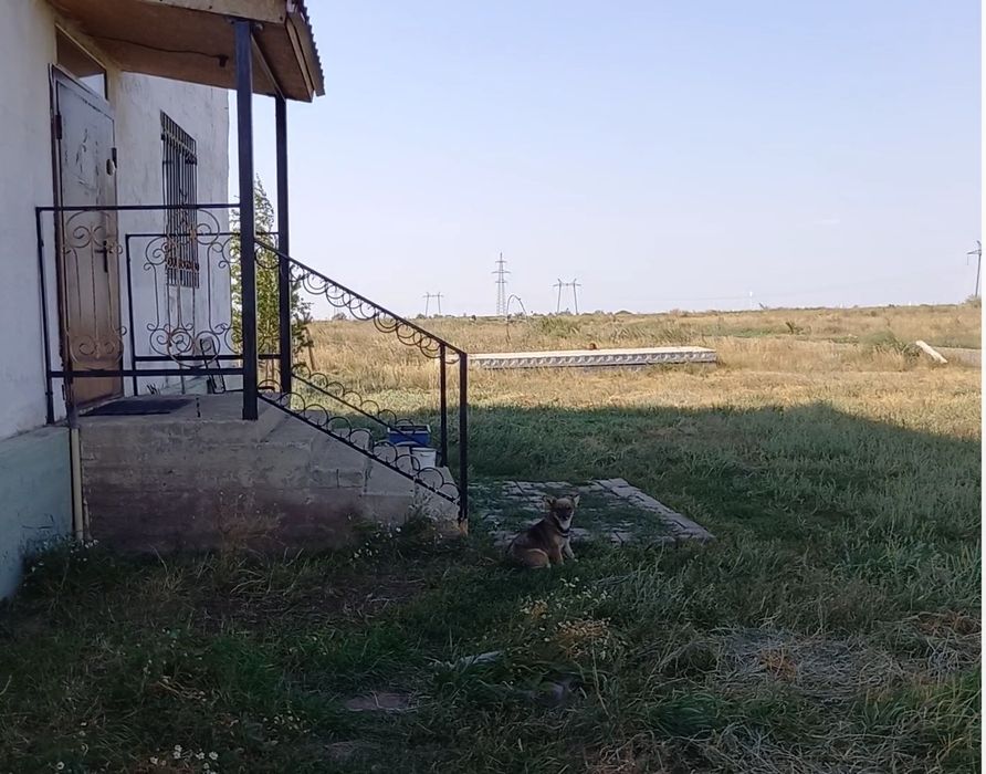 Продам придорожный кемпинг - Ansicht 3