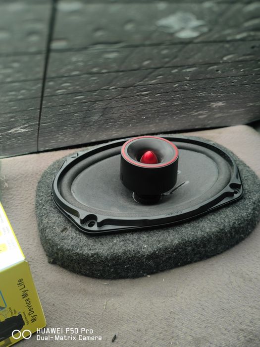 Pioneer boteks sitiladi