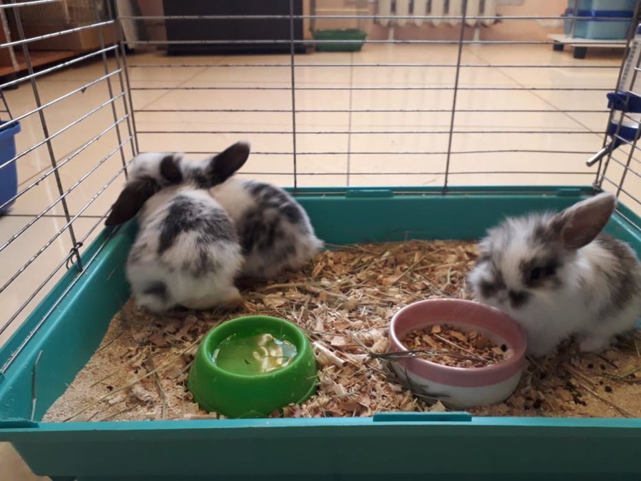 Подарок на 14 февраля !