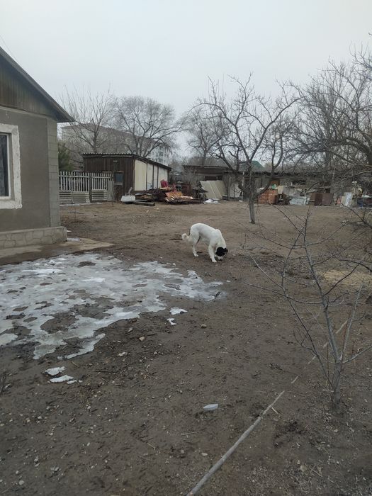 Продам ДОМ в 19 мкр.